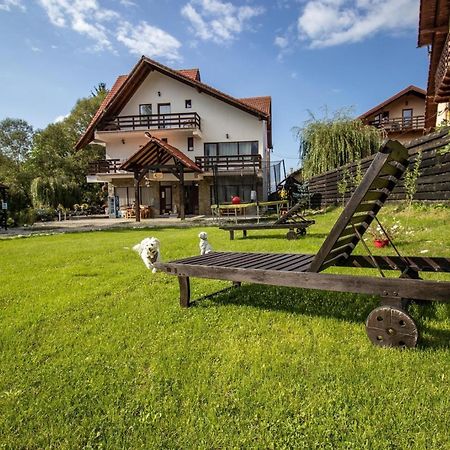 Vila Vibrant Bran  Bagian luar foto