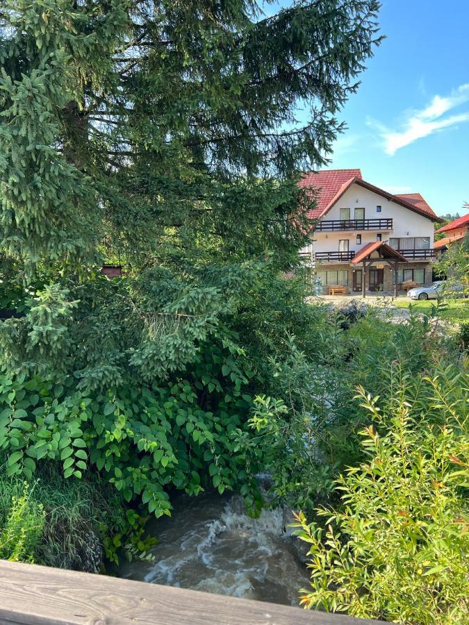Vila Vibrant Bran  Bagian luar foto