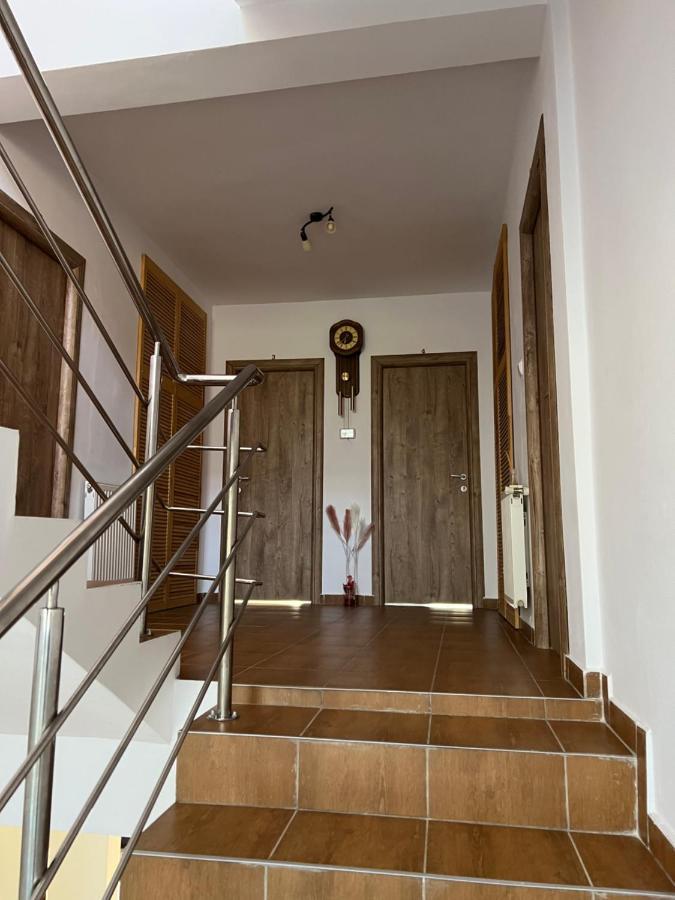 Vila Vibrant Bran  Bagian luar foto