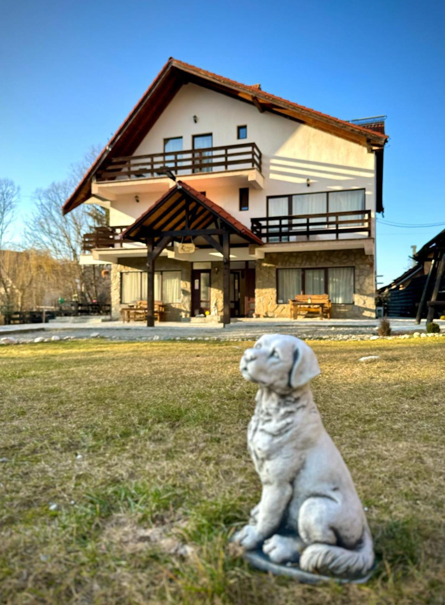 Vila Vibrant Bran  Bagian luar foto